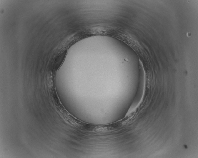 X0000073950413200609181406