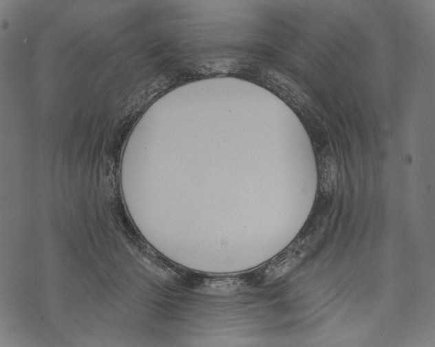 X0000073950414200609181406