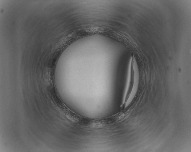 X0000073950416200609181406