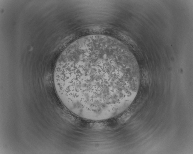 X0000073950419200609181406