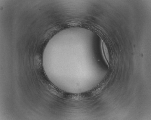 X0000073950420200609181406