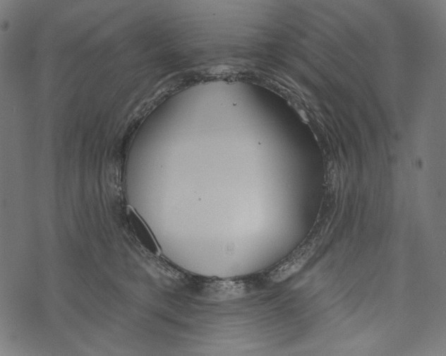 X0000073950421200609181406