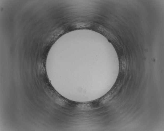 X0000073950422200609181406