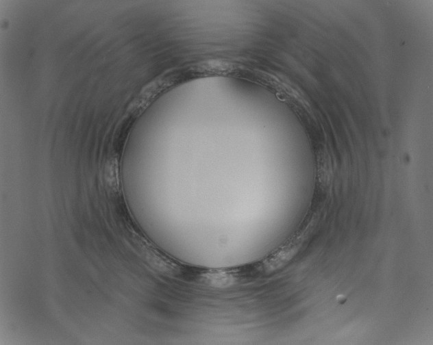 X0000073950425200609181406