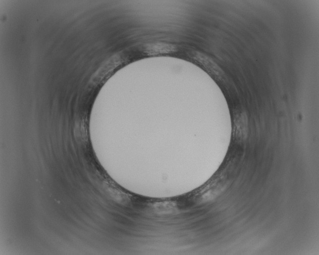 X0000073950426200609181406