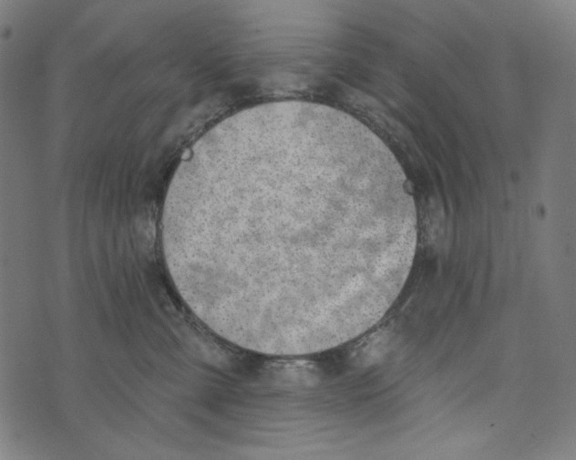 X0000073950427200609181406