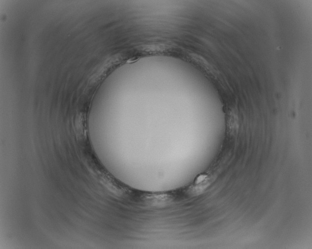 X0000073950428200609181406