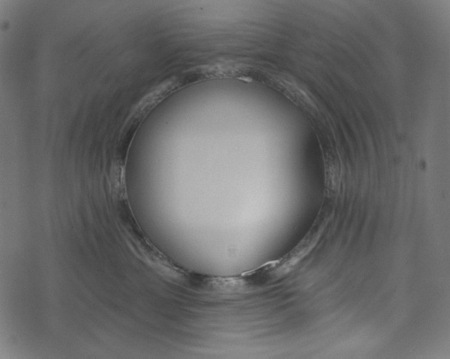 X0000073950429200609181406