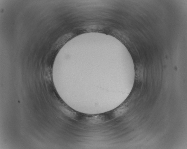 X0000073950430200609181406