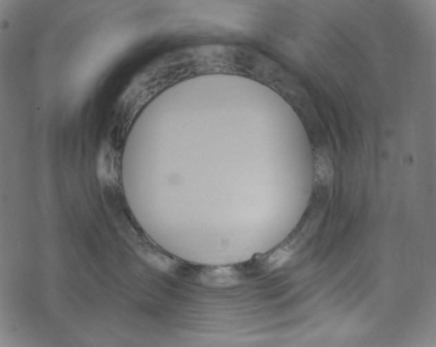 X0000073950431200609181406