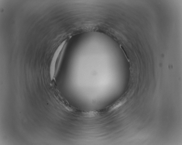 X0000073950432200609181406