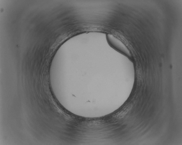 X0000073950433200609181405