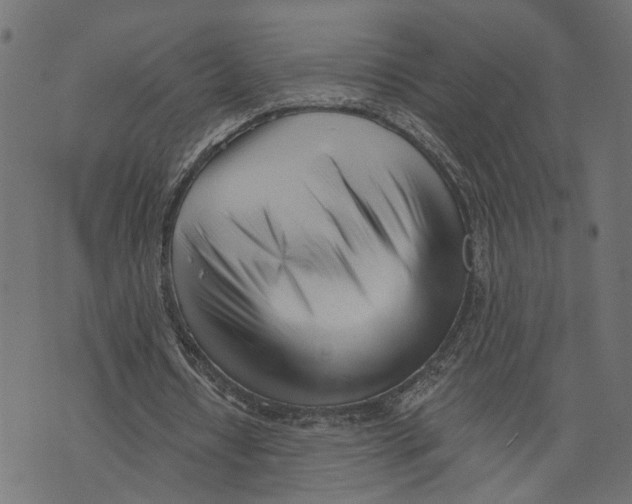 X0000073950434200609181405