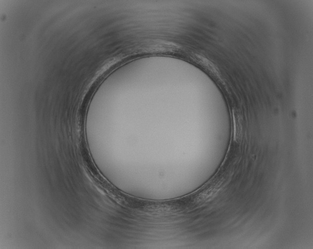 X0000073950435200609181405