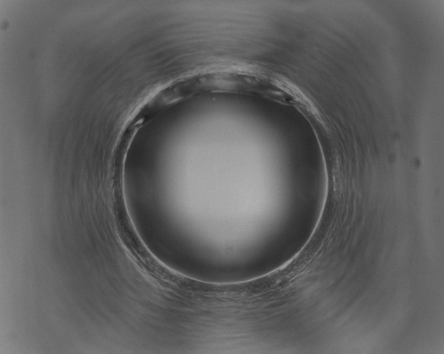 X0000073950436200609181405