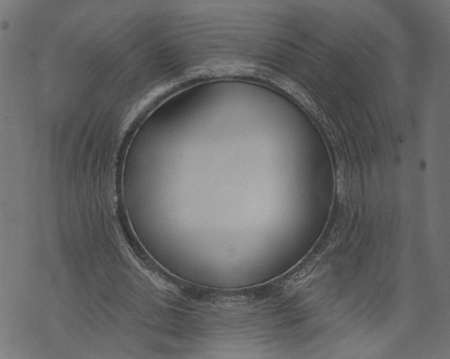 X0000073950438200609181405