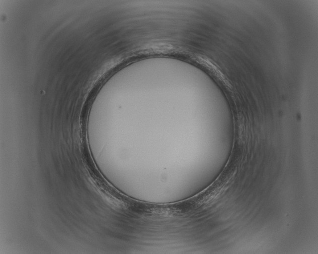 X0000073950439200609181405