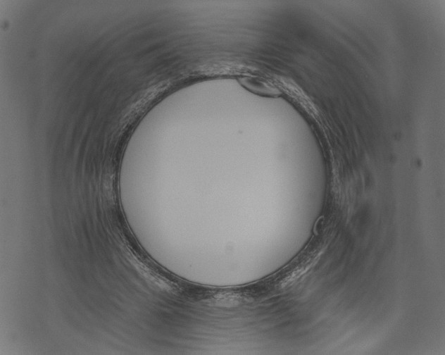 X0000073950441200609181405