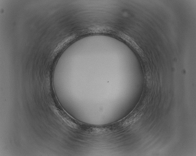 X0000073950442200609181405