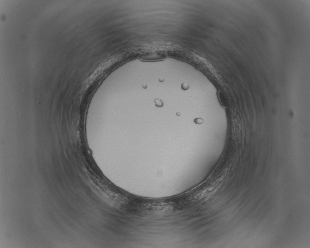 X0000073950443200609181405