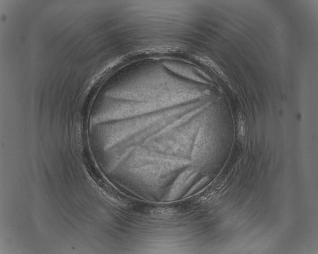 X0000073950444200609181405