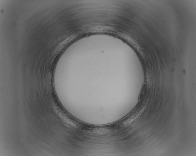 X0000073950445200609181405