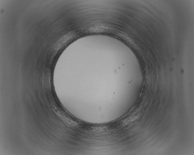 X0000073950446200609181405