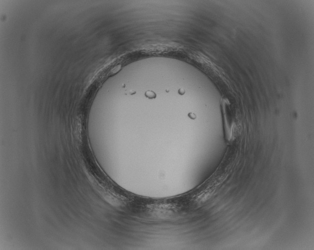 X0000073950448200609181405