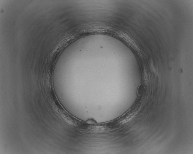 X0000073950449200609181405