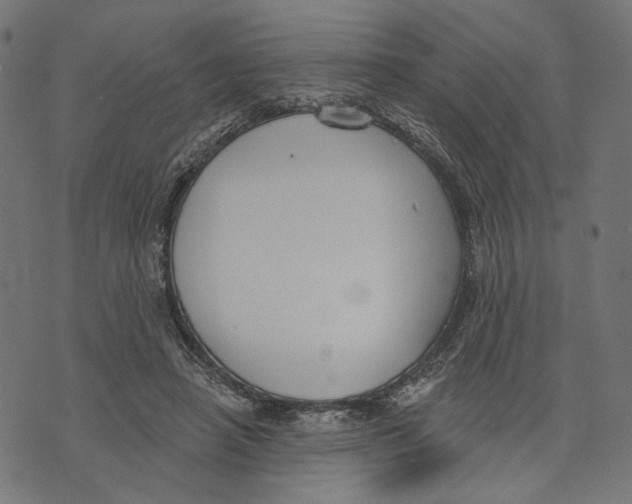 X0000073950450200609181405