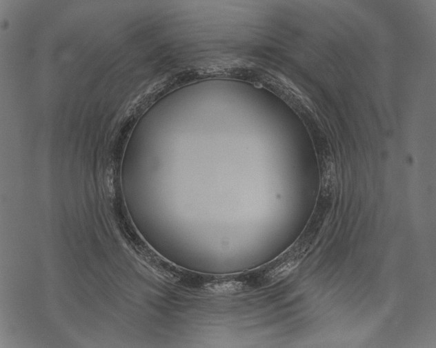 X0000073950452200609181405