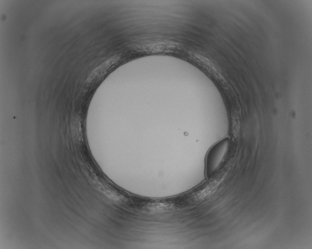 X0000073950453200609181405