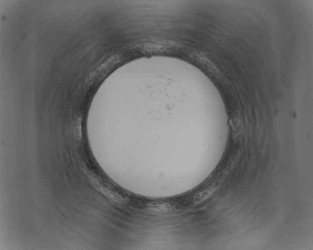 X0000073950454200609181405