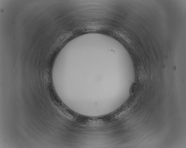 X0000073950455200609181405