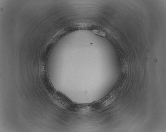 X0000073950456200609181405