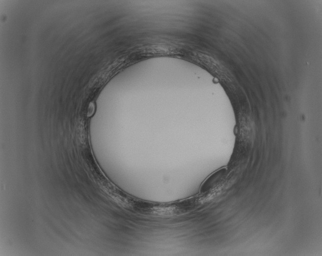 X0000073950457200609181405