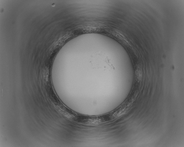 X0000073950458200609181405