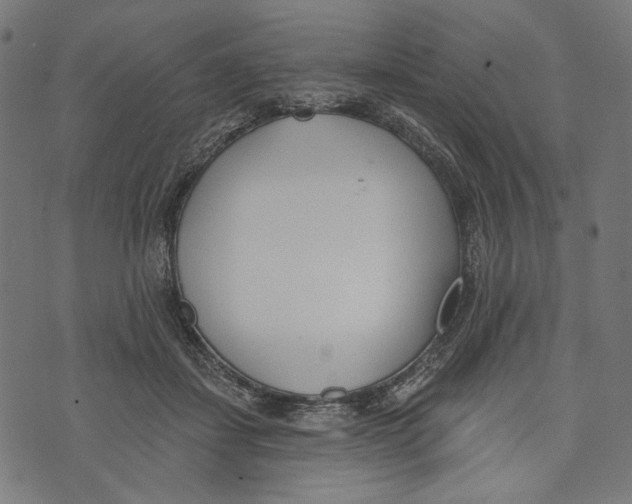 X0000073950459200609181405