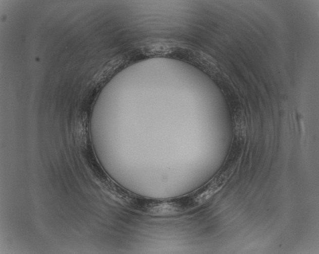 X0000073950460200609181405