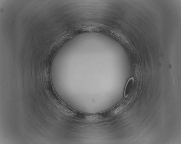 X0000073950461200609181405