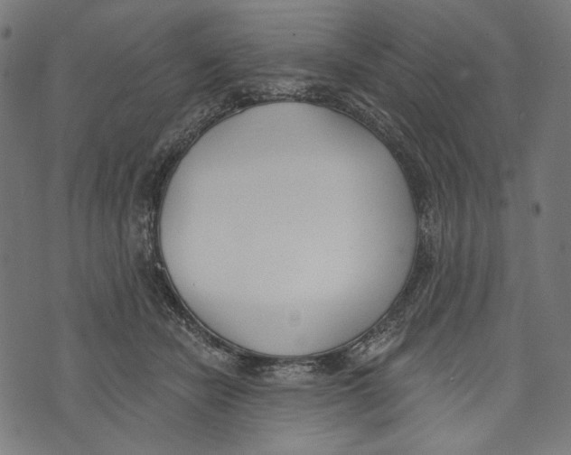 X0000073950462200609181405