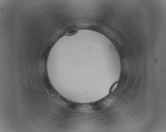 X0000073950463200609181405