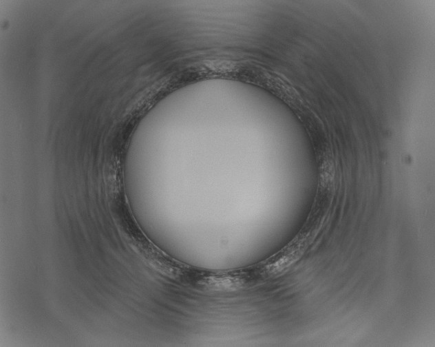 X0000073950464200609181405