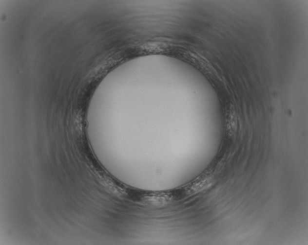 X0000073950466200609181405