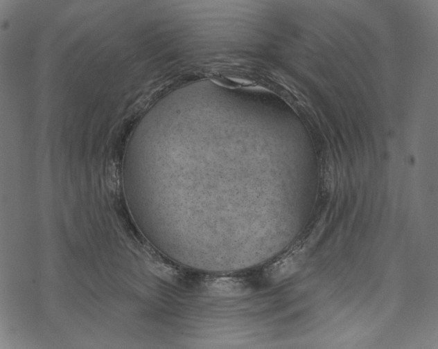 X0000073950467200609181405