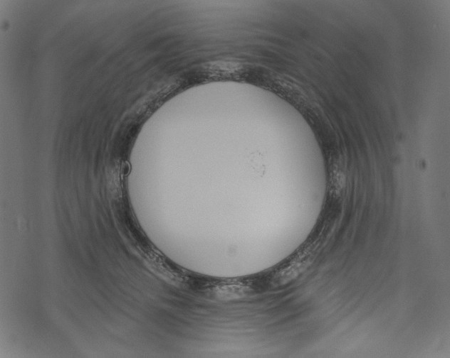 X0000073950468200609181405