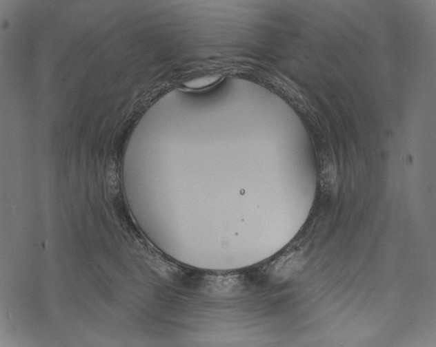 X0000073950469200609181405