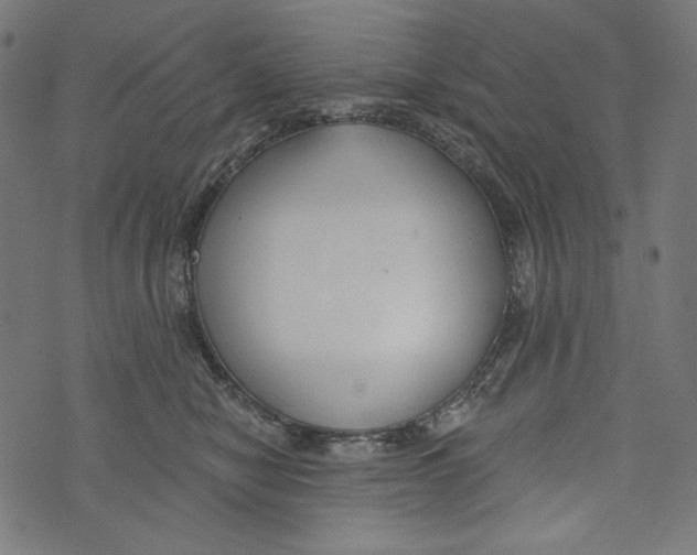 X0000073950470200609181405