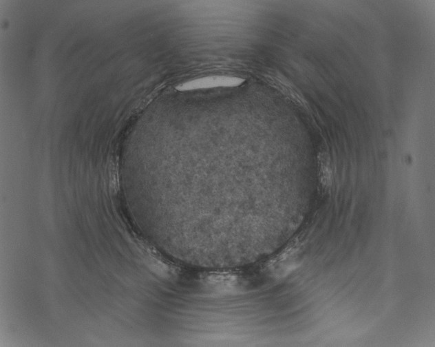 X0000073950471200609181405