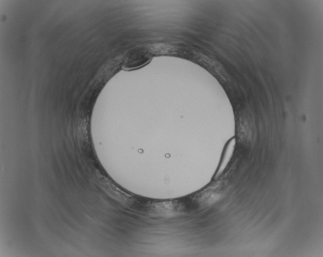 X0000073950473200609181405